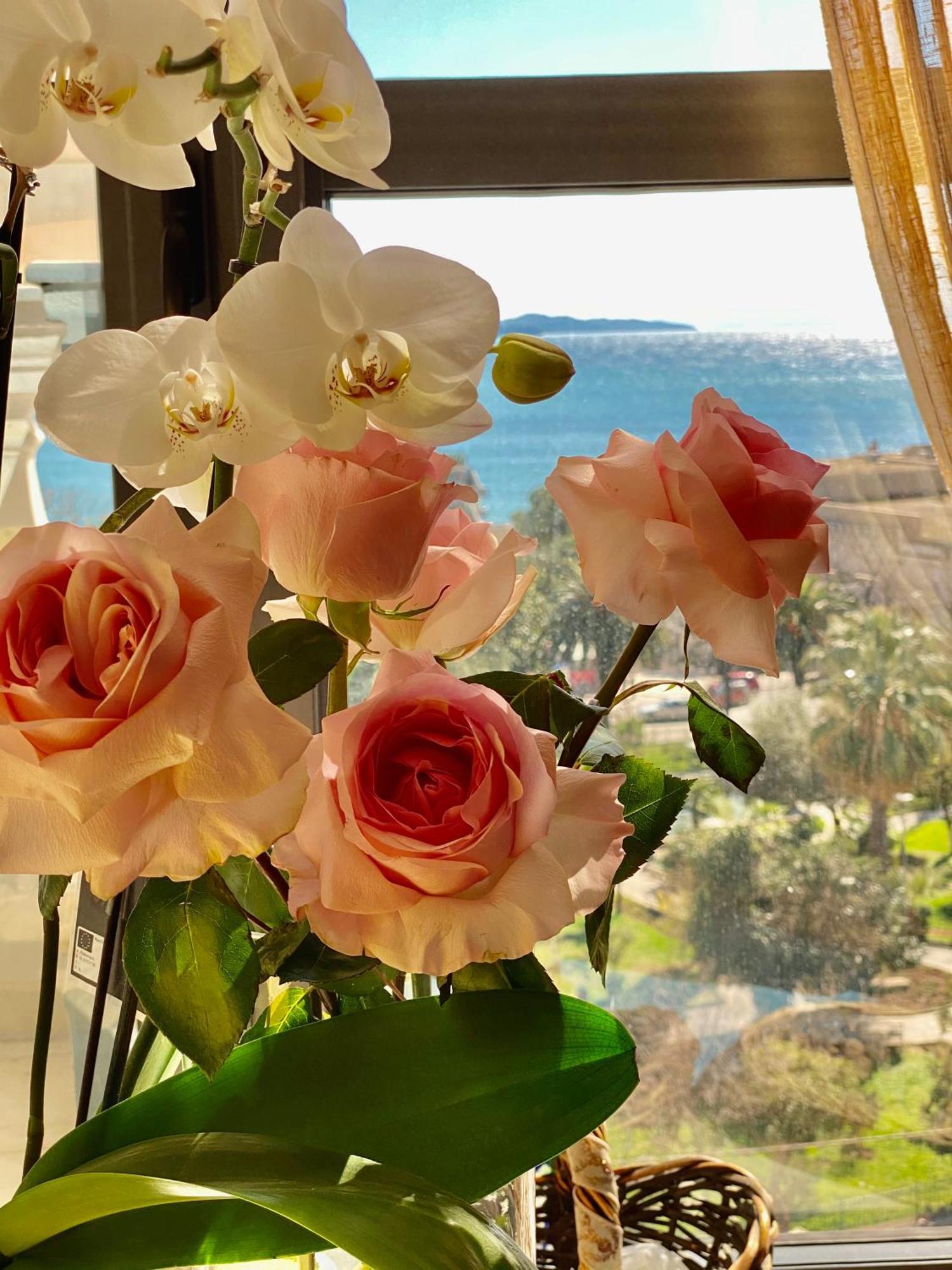 Amarilis Luxury Apartments Sarande Bagian luar foto